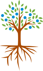 Recycling Specialists in Centurion, Pretoria and Midrand